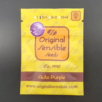 Purple 4