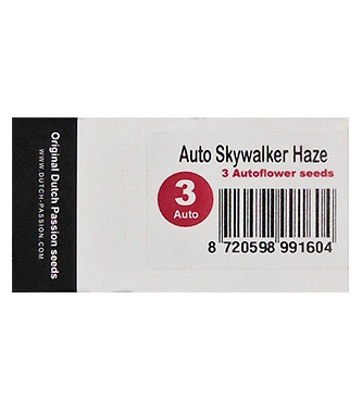 Skywalker Haze 3