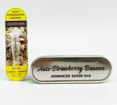 Strawberry Banana 3