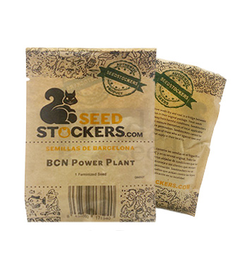 Bcn Power Plant 3