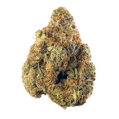Hindu Kush 5