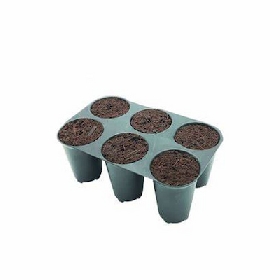 Plateau de semis à 6 cellules > Hortisfera