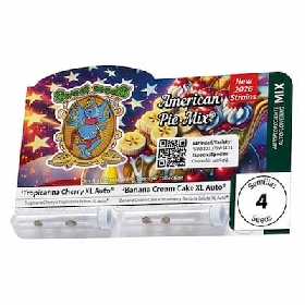 American Pie Mix > Sweet Seeds