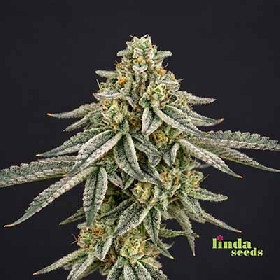 Auto Wedding Cake > Linda Seeds