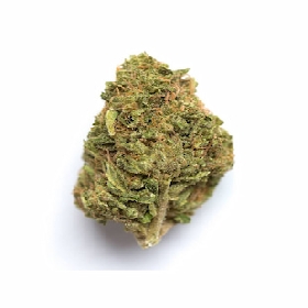 Blue Zushi > Growers Choice