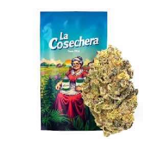 Cheesecake CBD > La Cosechera