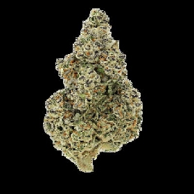 Crazy Rozes Fast > Growers Choice