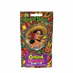 Critical Zookies Blackout CBD > Sweet Jane CBD