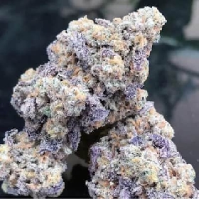 Frozen Cherry Runtz > Growers Choice