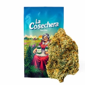Girl Scout Cookies CBD > La Cosechera