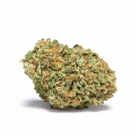 Gorilla Fire > Bulk Seeds