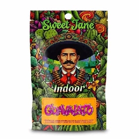 Indoor Guavalato > CBD Sweet Jane