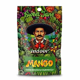 Indoor Mango > CBD Sweet Jane