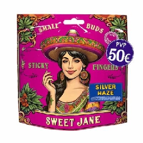 Indoor Small Buds Silver Haze CBD > Sweet Jane CBD