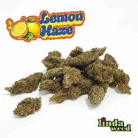 Lemon Haze CBD > Linda Weed