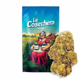Mimosa CBD > La Cosechera