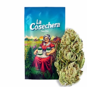Orange Cali CBD > La Cosechera