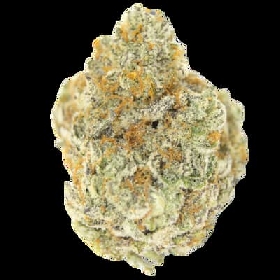 Permanent Whitemarker > Growers Choice