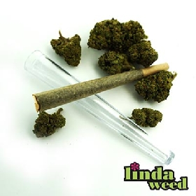 CBD PHC Pre-Rolled Joints > Linda Weed