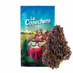 Purple Haze CBD > La Cosechera