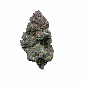 RS11 > Growers Choice