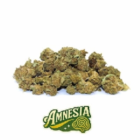 Small Buds Amnesia CBD > La Cosechera