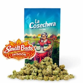 Small Buds CBD Indoor > La Cosechera