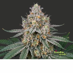 Wedding Cake > Linda Seeds